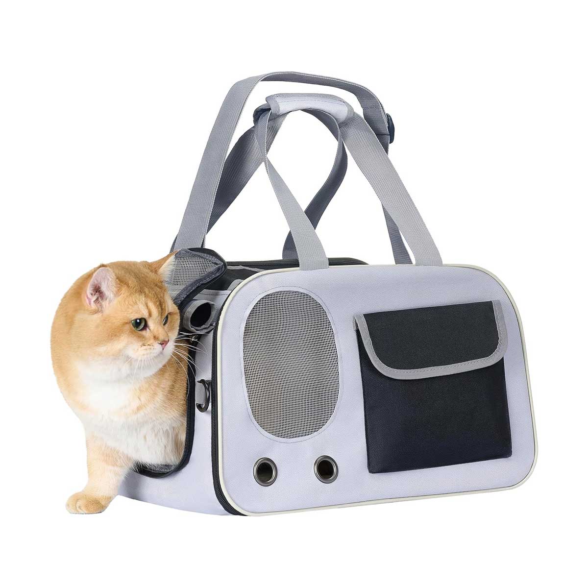 Delta Airlines reistas hond vliegtuig 46 x 28 x 28 cm (18” x 11” x 11”) in de cabine onder de stoel, voor huisdieren tot 8 kg