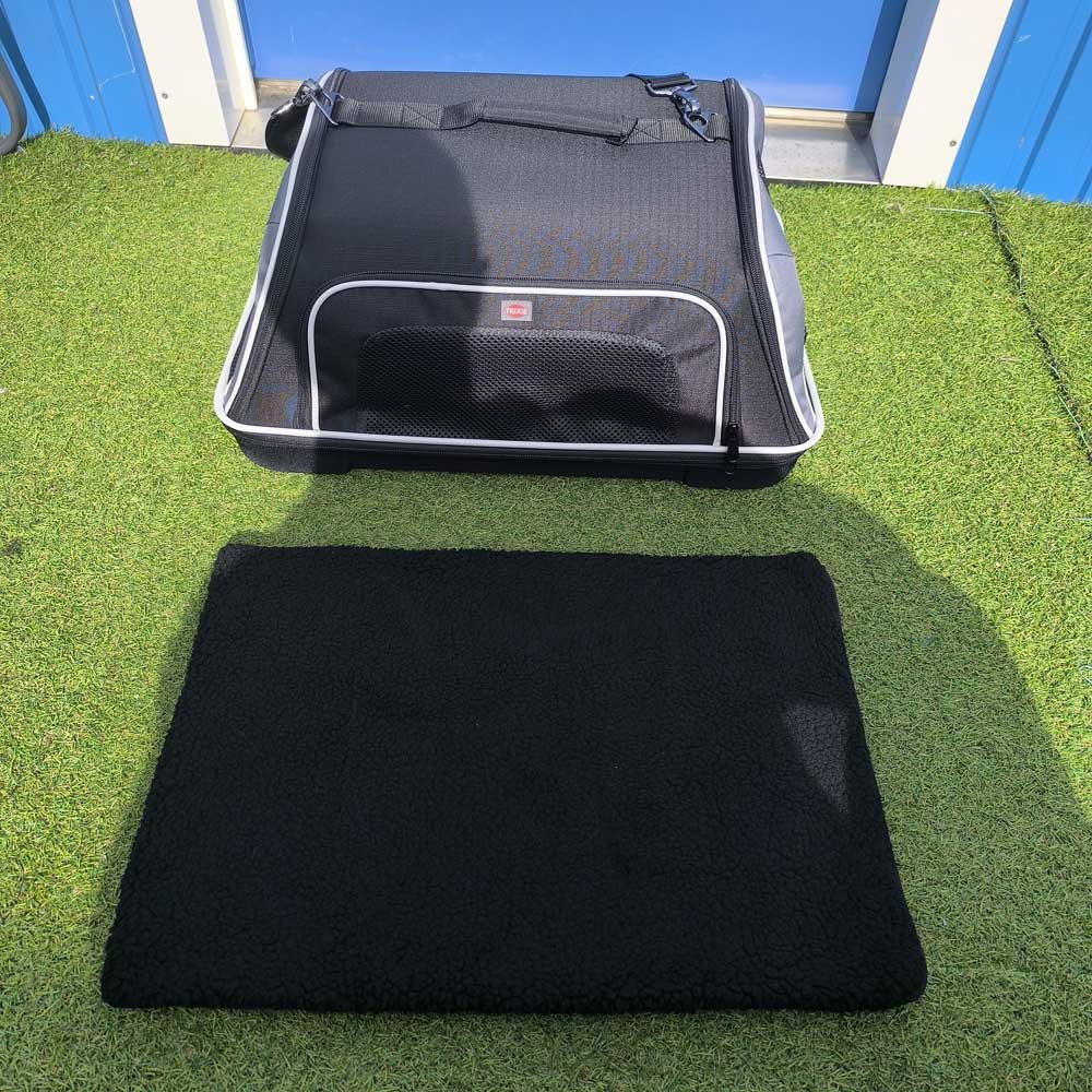 AirBaltic pet carrier bag in cabin, airline approved size 55x40x23cm for travelling with dog or cat