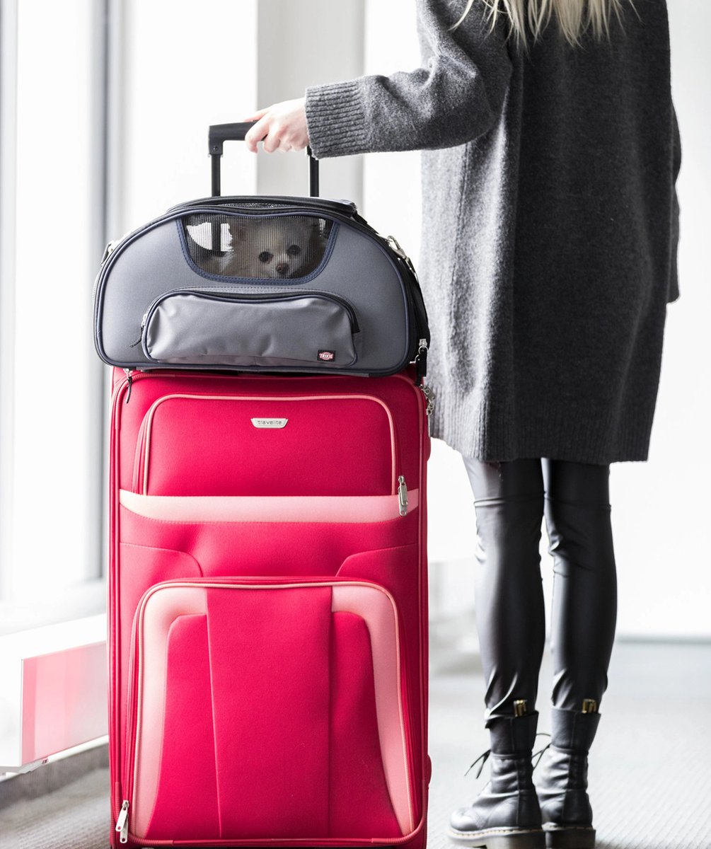 Travel bag dog carrier for KLM & Air France, dimensions 46x28x24cm