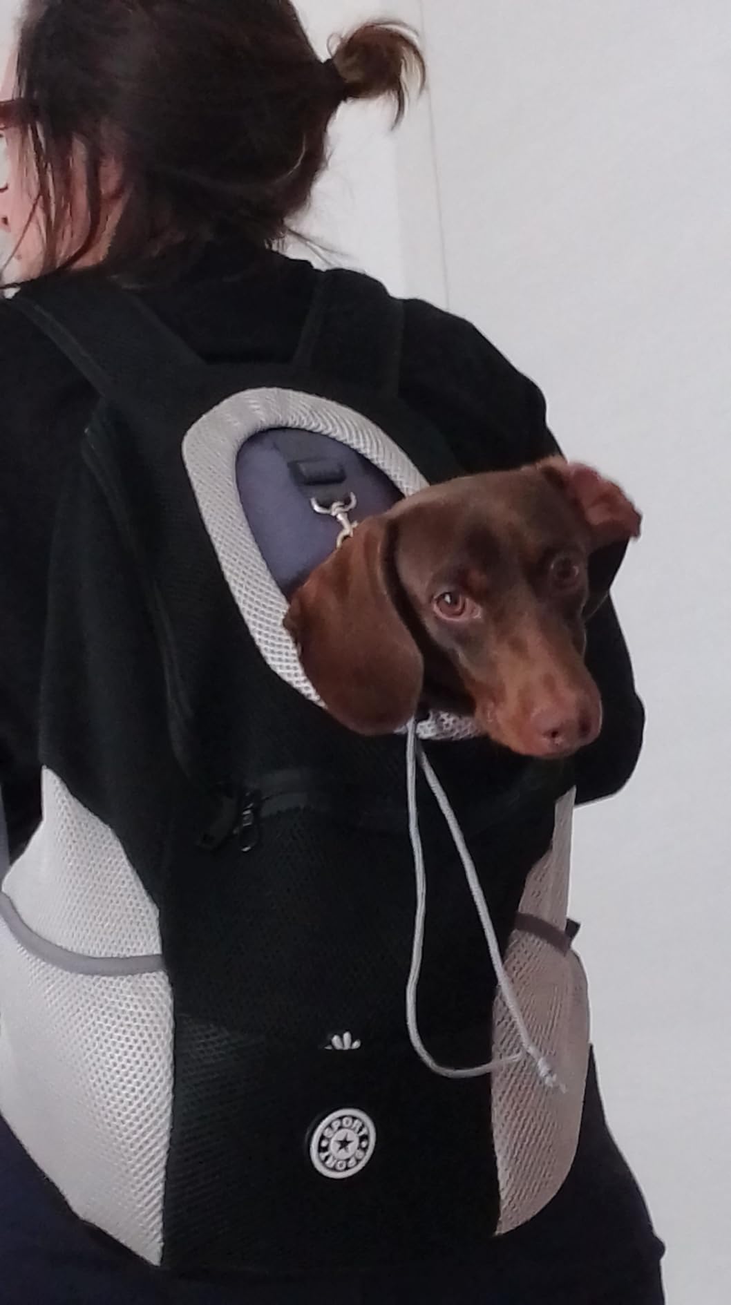 Hondenrugzak 6 kg – Rugtas draagzak voor Kleine honden, Reizen & wandelen Voor op buik en rug