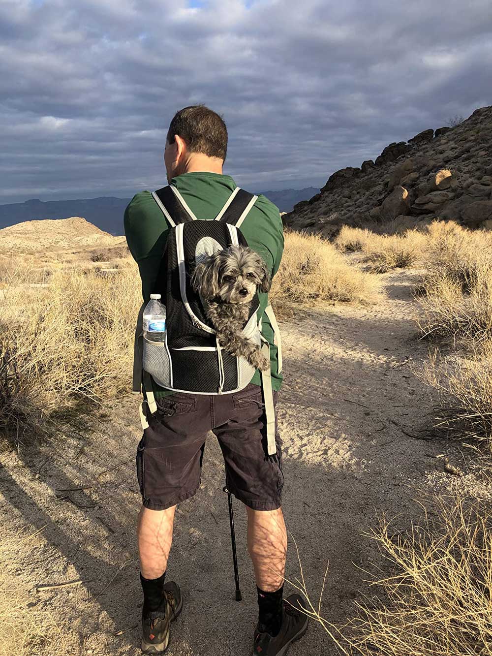 Hondenrugzak 6 kg – Rugtas draagzak voor Kleine honden, Reizen & wandelen Voor op buik en rug