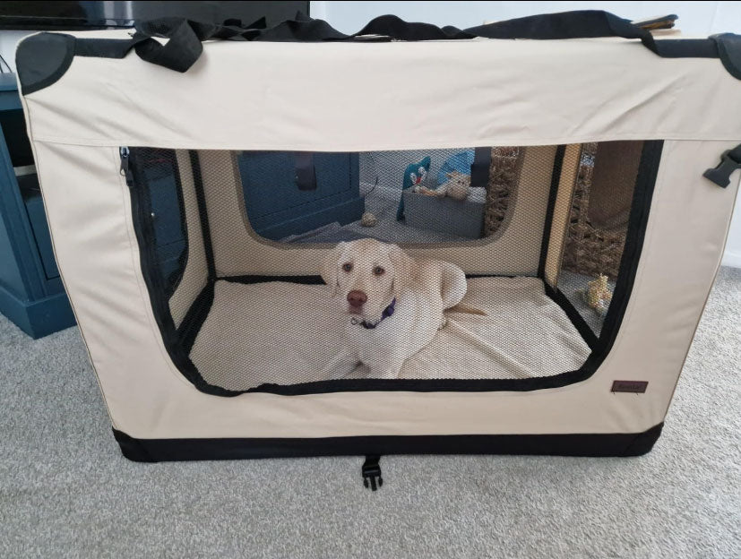 XXL Dog Transport Box, Foldable Soft Dog Kennel with Chew Proof Mesh Windows, Extra large size, 100 x 70 x 70 cm | Collapsible Dog Crate for large dogs