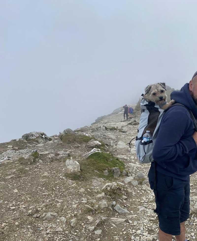 Hondenrugzak 10 kg - voor Reizen en Wandelen