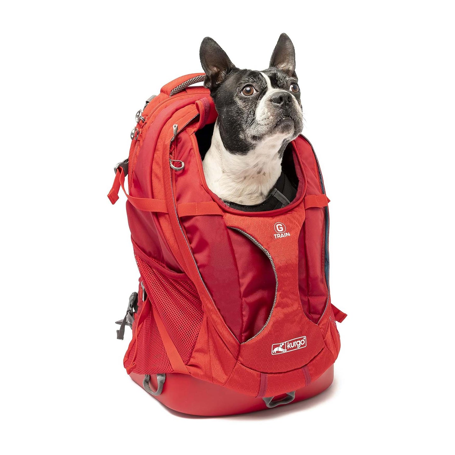 Hondenrugzak K9, draagzak grote hond 12 kg kopen