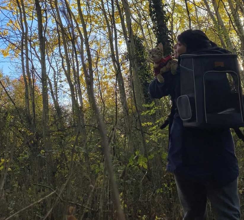 Rugzak voor katten met venster en ventilatie 33 x 28 x 42 cm – Katten rugzak draagtas tot 7 kg – Ergonomische katten draagtas rugzak – Draagbare reisrugzak voor katten – Outdoor kattenrugzak met gaas voor wandelen en reizen