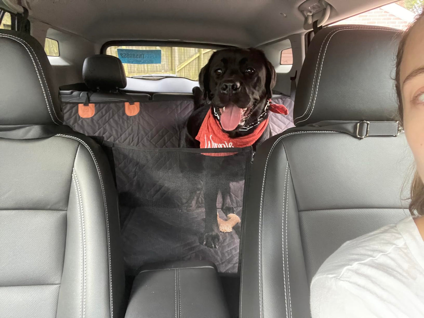 Hard Bottom Dog Car Back Seat Cover 130x65cm - Backseat Extender and Car Separator for Dogs