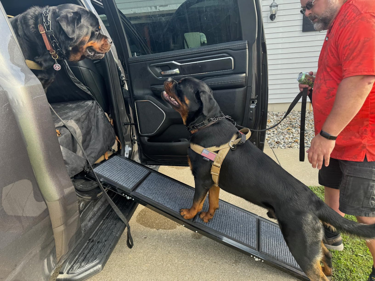 Dog Ramp for Car 160x43cm – Foldable Aluminum Dog Ramp – Best Dog Ramp for High Cars