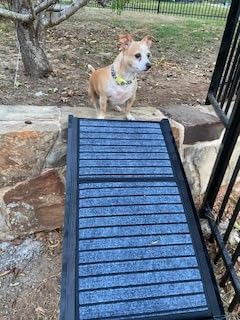 Dog Ramp for Car 160x43cm – Foldable Aluminum Dog Ramp – Best Dog Ramp for High Cars