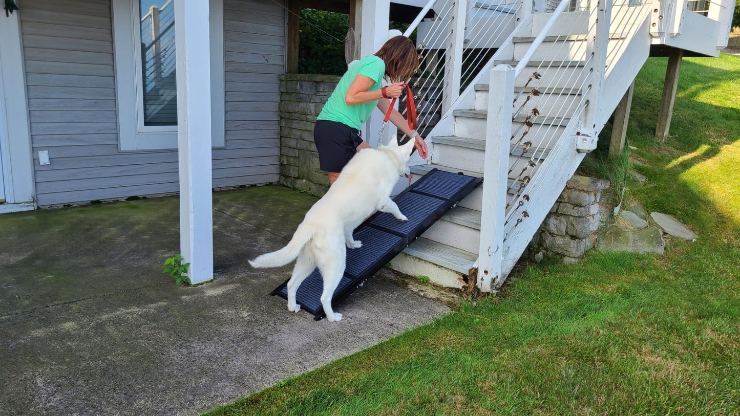 Dog Ramp for Car 160x43cm – Foldable Aluminum Dog Ramp – Best Dog Ramp for High Cars