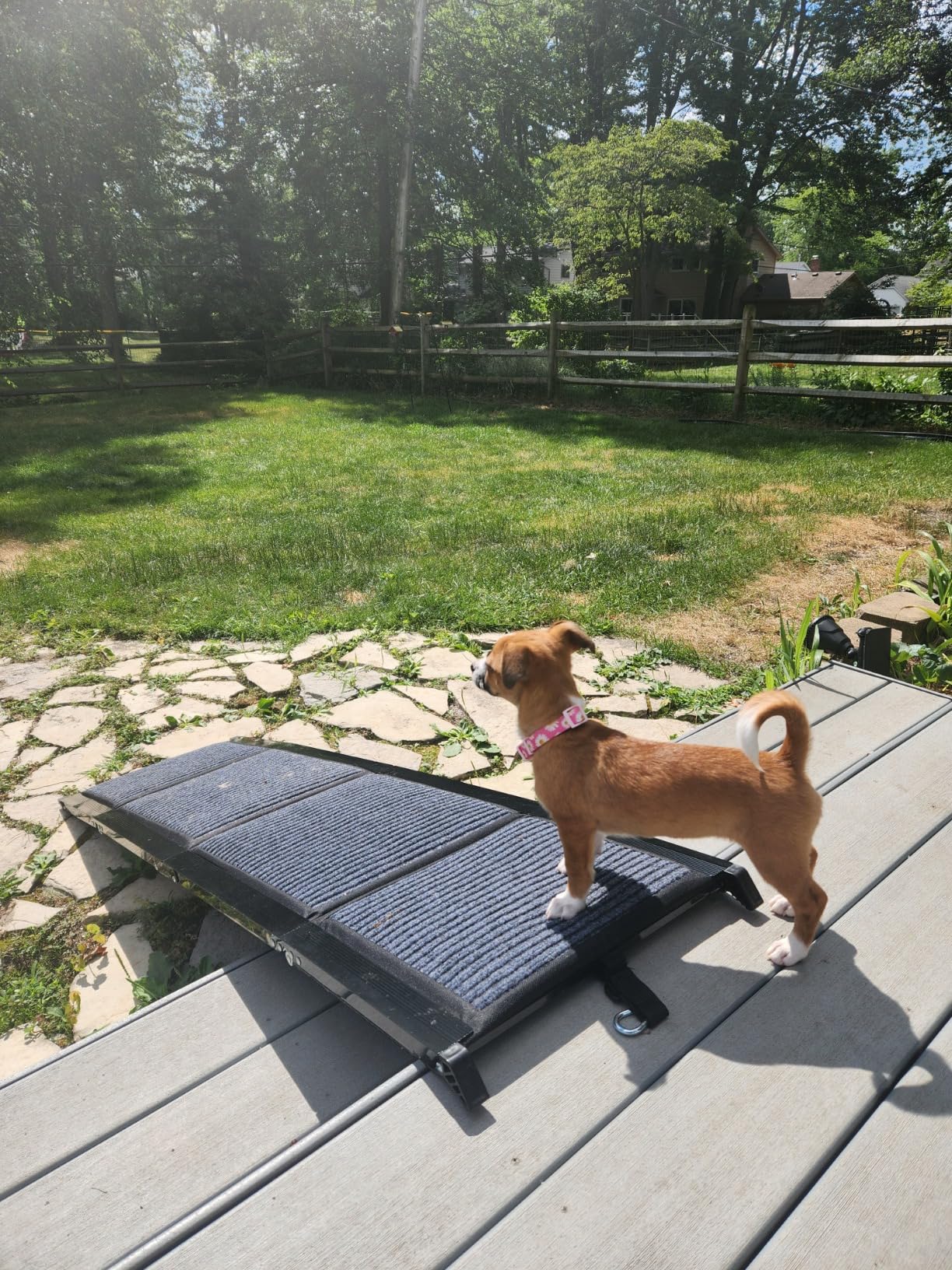 Dog Ramp for Car 160x43cm – Foldable Aluminum Dog Ramp – Best Dog Ramp for High Cars