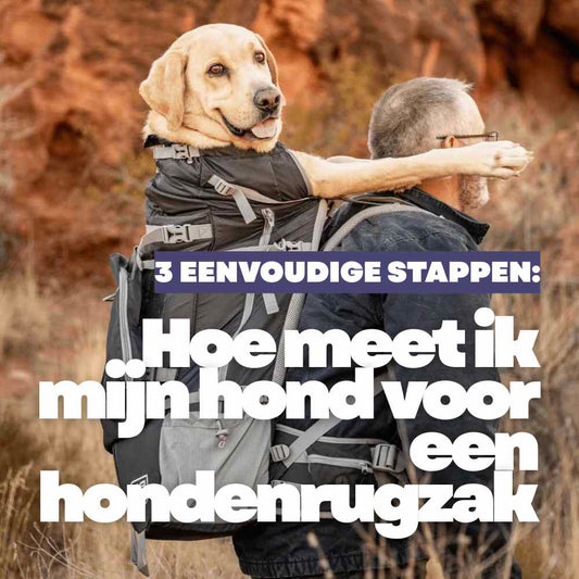 3 Eenvoudige stappen: Hoe meet ik mijn hond voor een hondenrugzak
