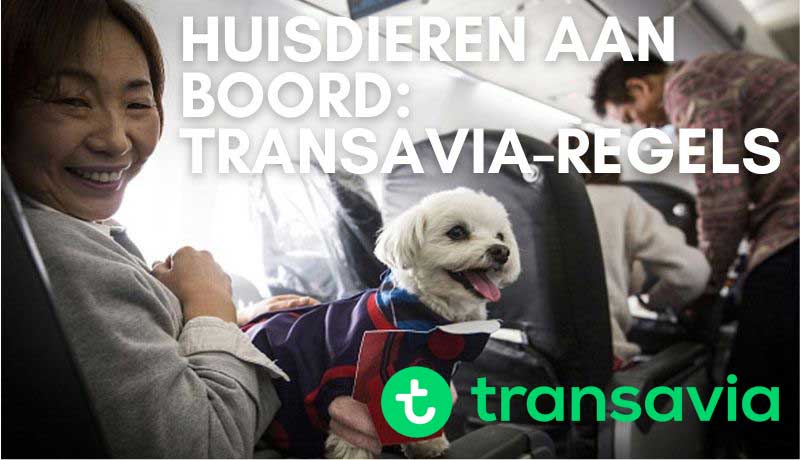 Alles wat je moet weten: Hond of Kat mee in het Vliegtuig met Transavia - Reisregels, Kosten en Tips voor de Cabine