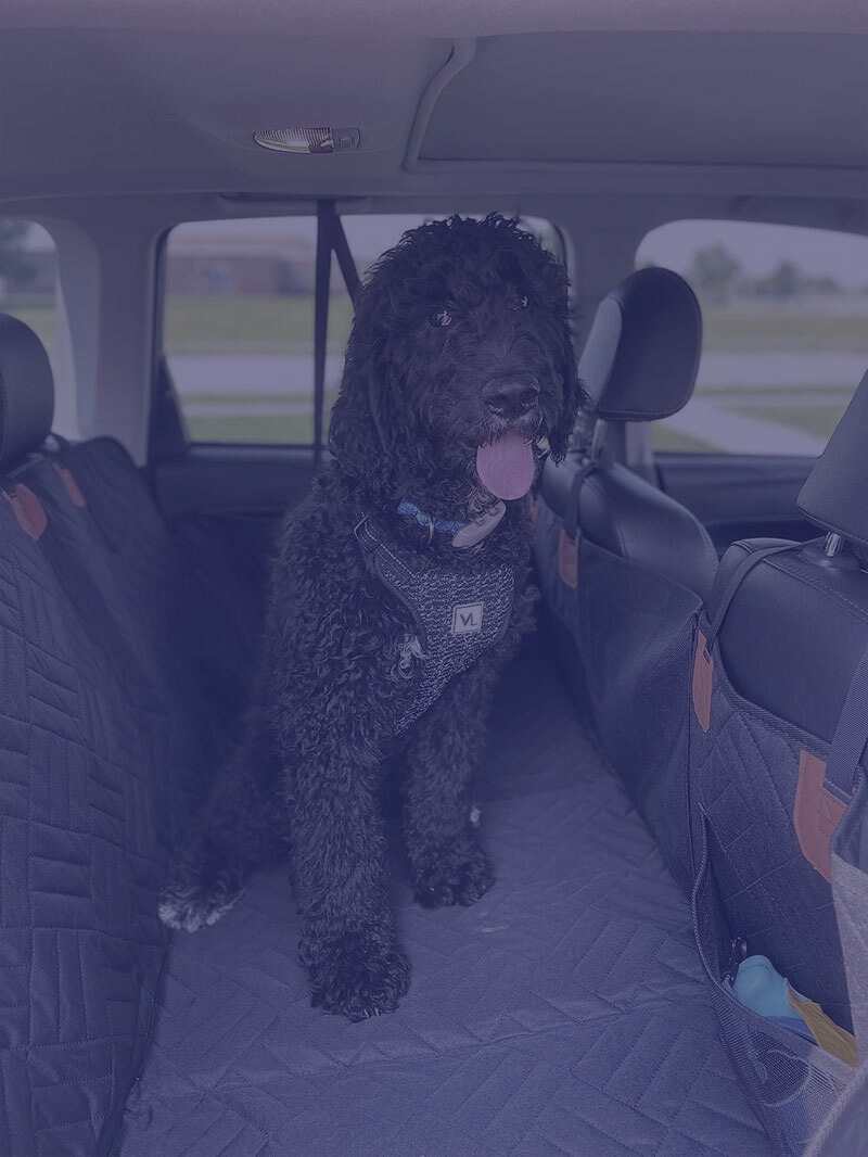 Autostoelhoezen voor honden