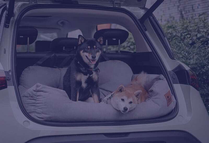 Hondenproducten voor onderweg