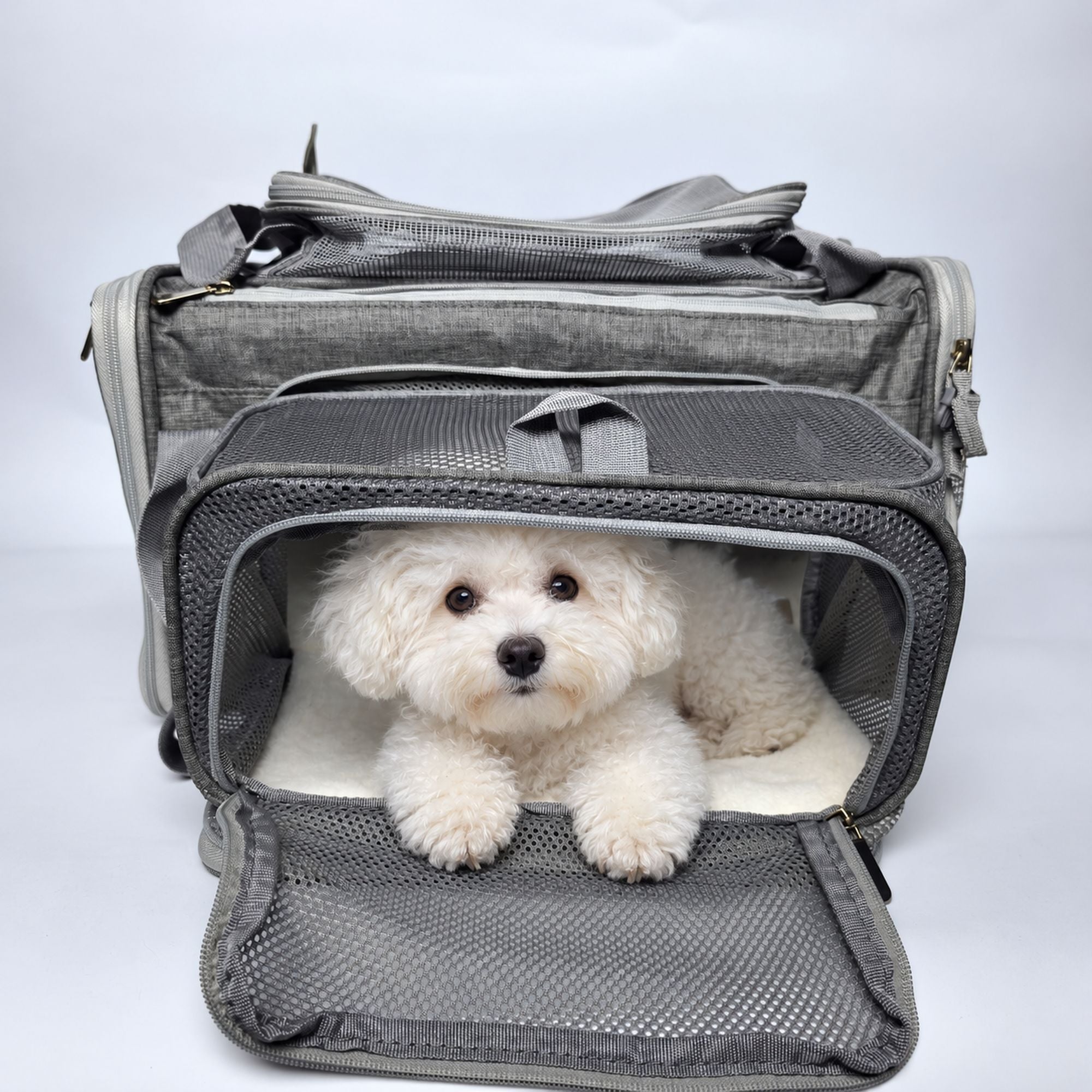 Bichon-hondje ligt in de open Lyra reistas op het zachte witte matje