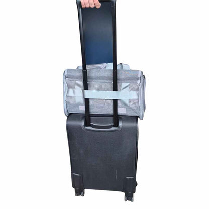 Aurora Transavia hondentas 40x30x24
