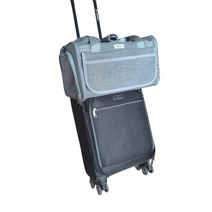 Aurora Transavia hondentas 40x30x24