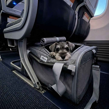 Transavia Pet Travel Kit — Approved Carrier + Accessories