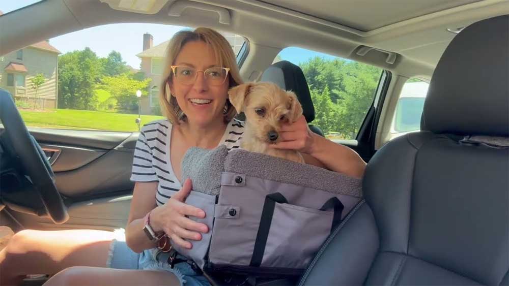 console dog seat for cars