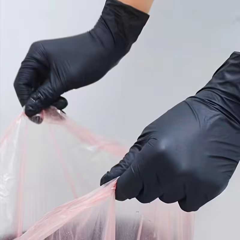 Disposable Pet Travel Gloves - 10 Pairs