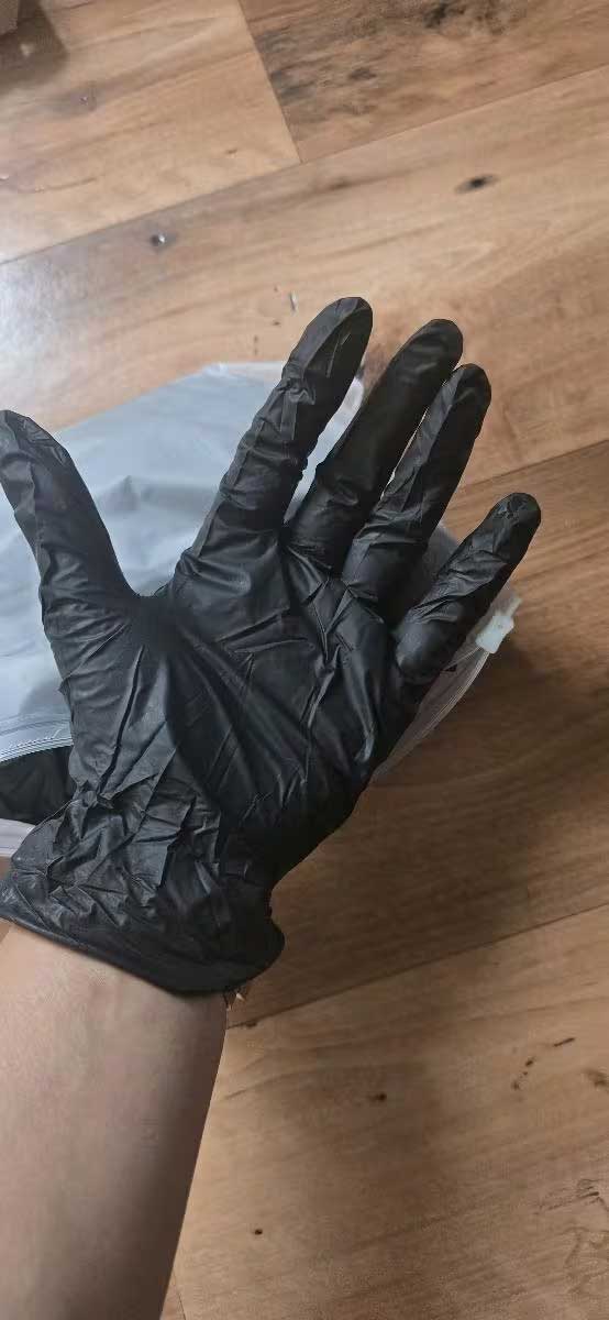 Disposable Pet Travel Gloves - 10 Pairs