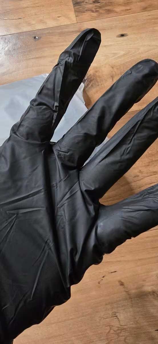 Disposable Pet Travel Gloves - 10 Pairs