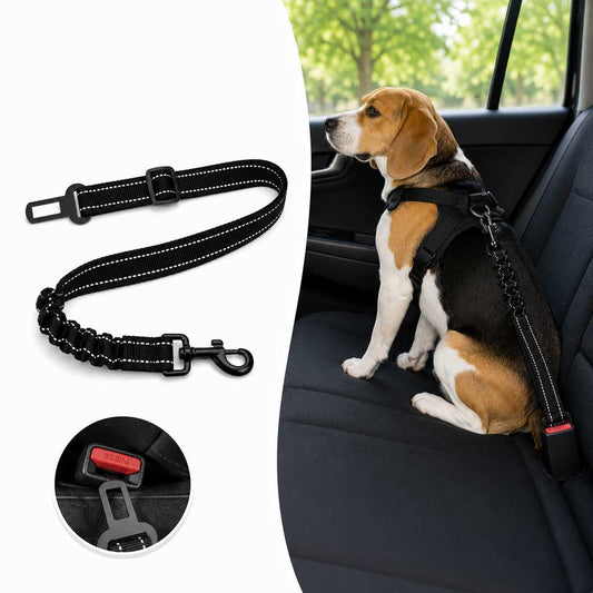 Autogordel Hond met Elastiek – Klik in de Gordelsluiting – 67 cm