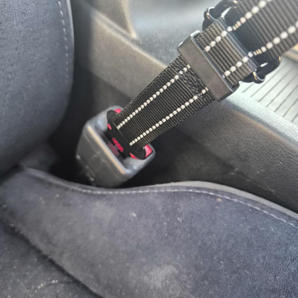 Dog Car Seat Belt with Bungee – Clicks into Buckle – 67 cm