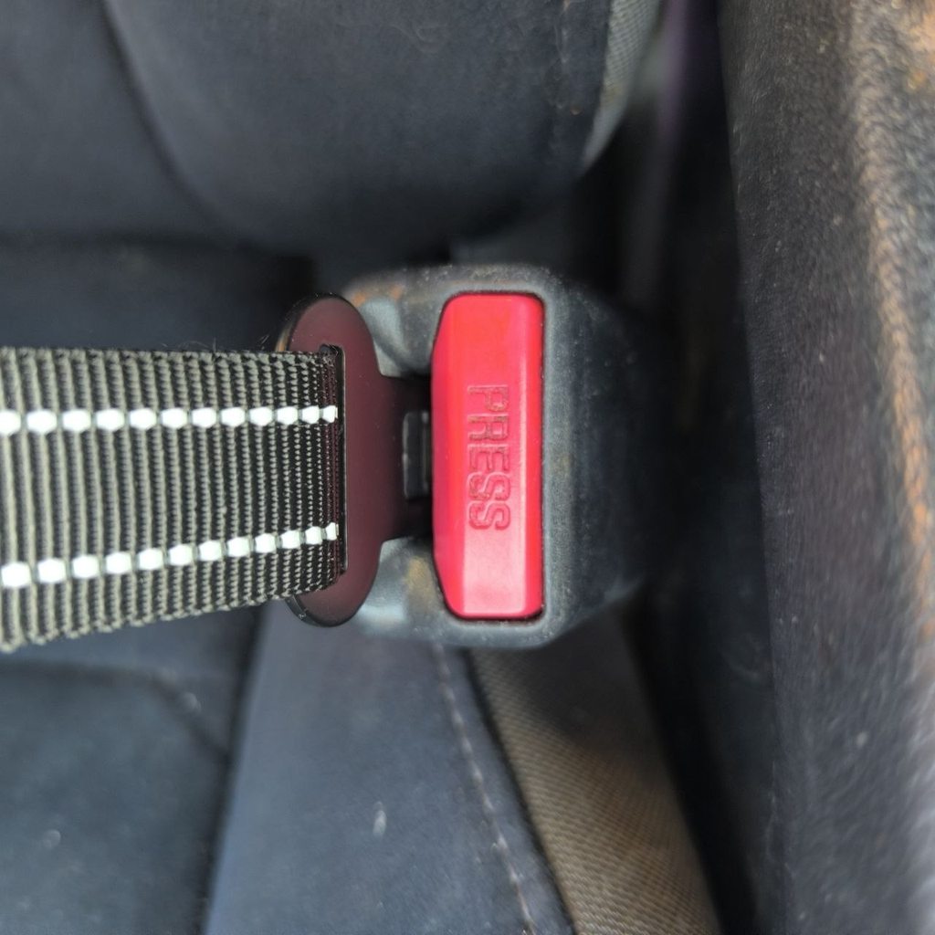 Dog Car Seat Belt with Bungee – Clicks into Buckle – 67 cm