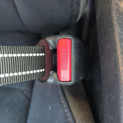 Dog Car Seat Belt with Bungee – Clicks into Buckle – 67 cm