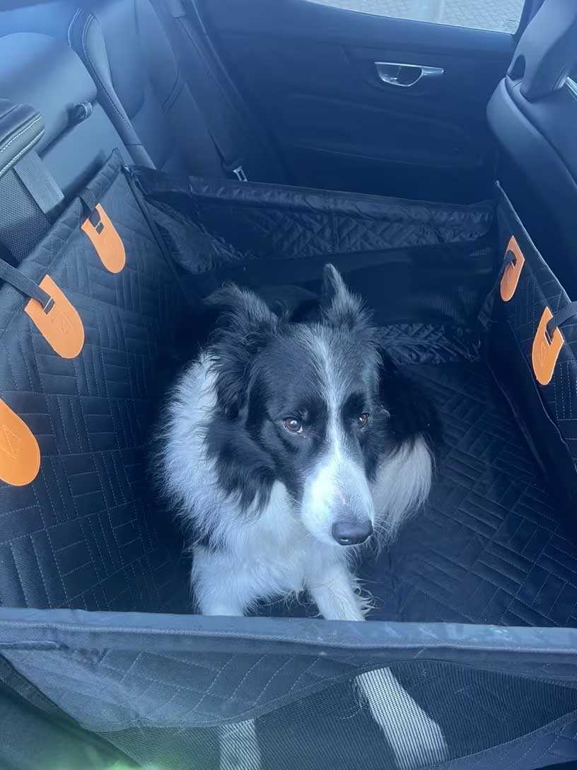 Honden autostoel half hangmat