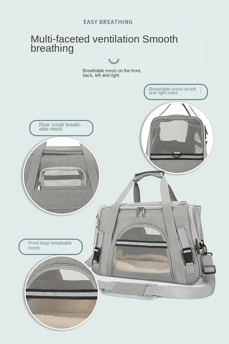 FlyCat carrier details