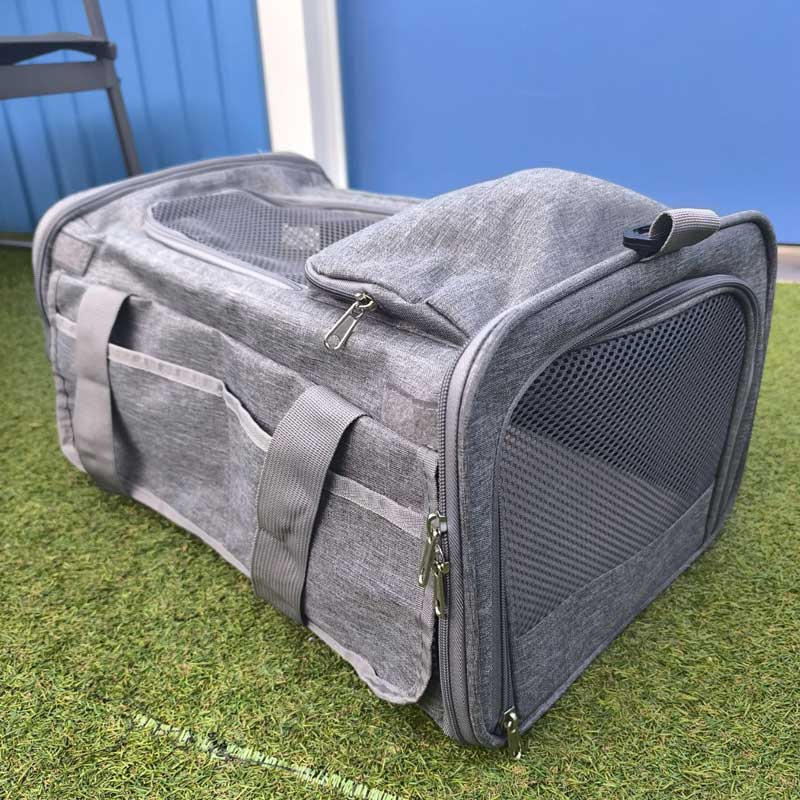 klm onder stoel tas kat