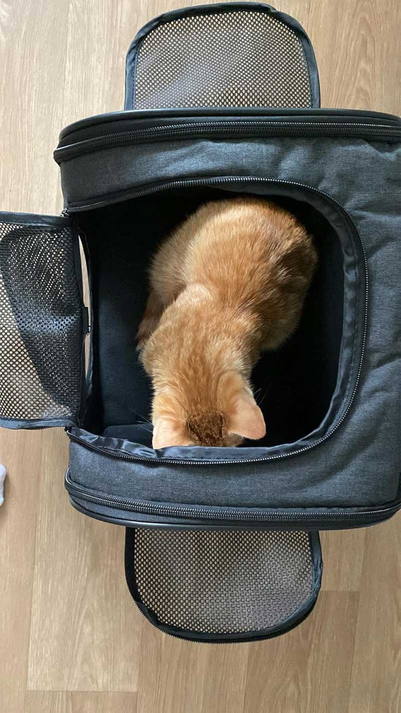 Orbit Hopper Rugzak voor grote katten tot 10 kg