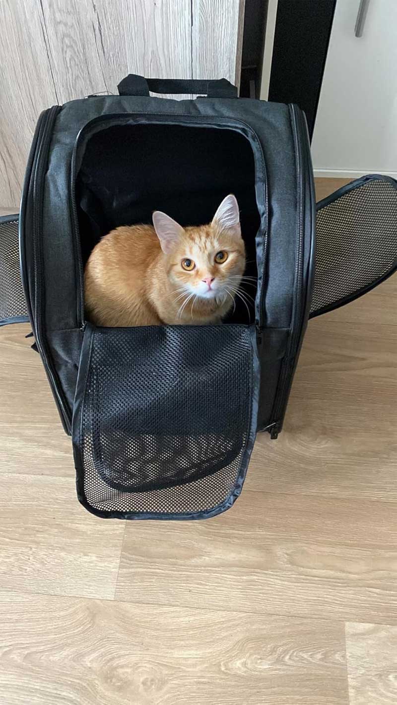 Orbit Hopper Rugzak voor grote katten tot 10 kg