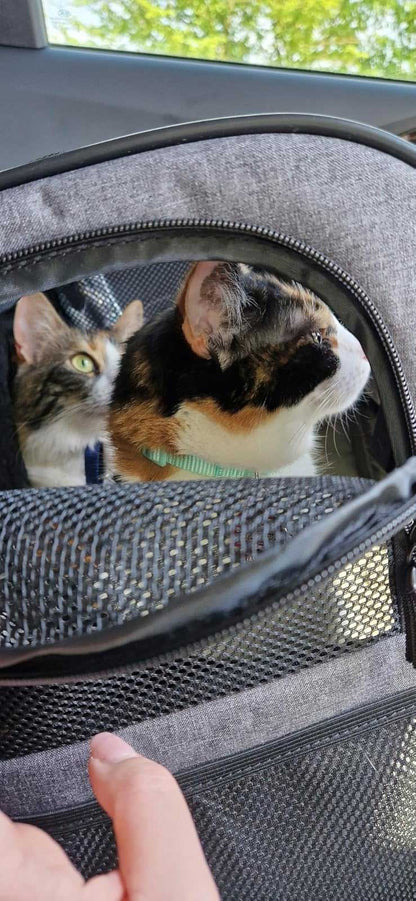 Orbit Hopper Rugzak voor grote katten tot 10 kg