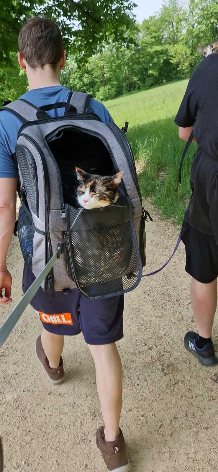 rugzak voor grote raskatten