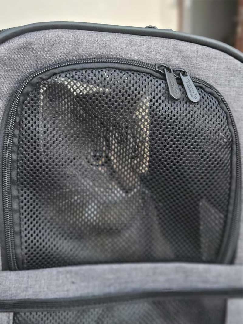 Orbit Hopper Rugzak voor grote katten tot 10 kg