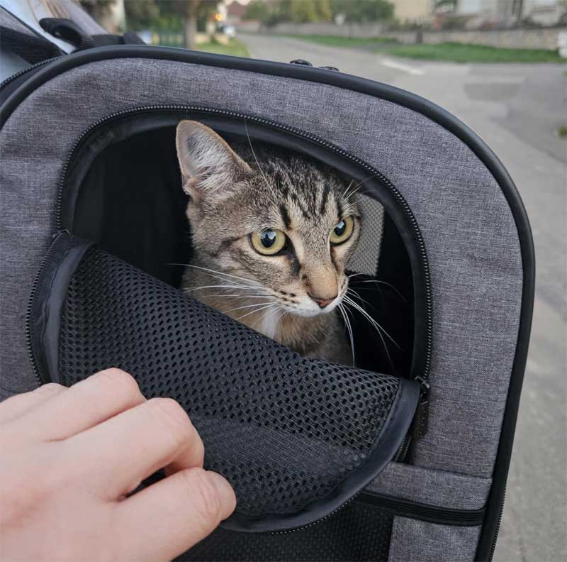 Orbit Hopper Rugzak voor grote katten tot 10 kg