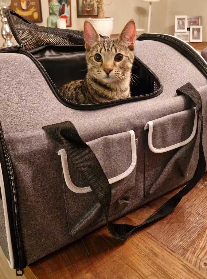 TUI Airlines 2-in-1 Backpack Bag 50x35x30 cm for Dog or Cat