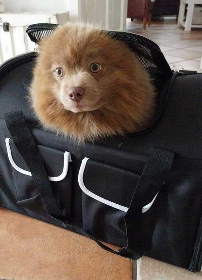 TUI Airlines 2-in-1 Backpack Bag 50x35x30 cm for Dog or Cat