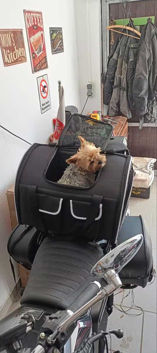 tui vakantie met hond