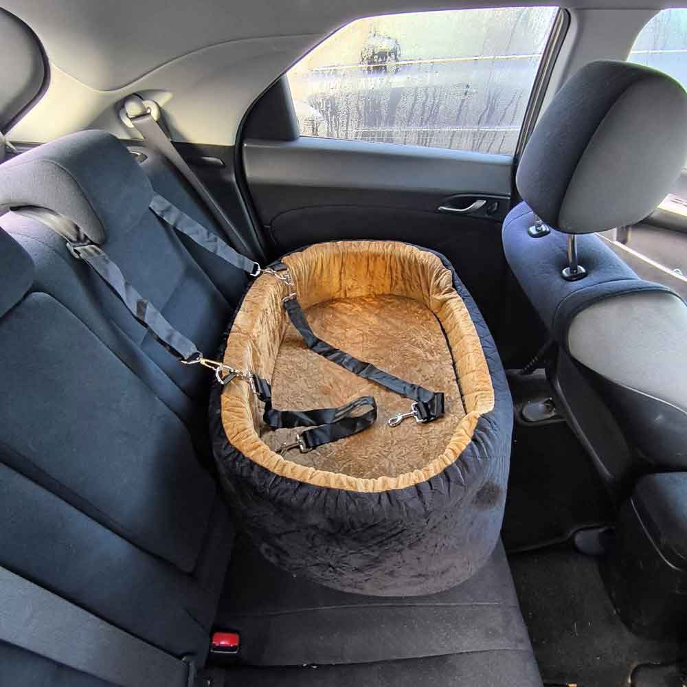 Premium Car booster seat for Large Dog or 2 Small Dogs up to 25kg with orthopedic pillow