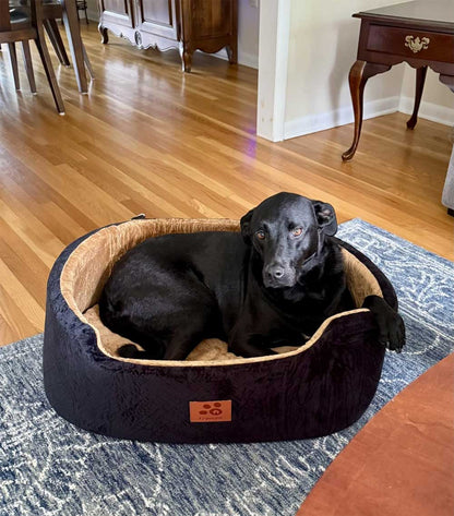 Premium Car booster seat for Large Dog or 2 Small Dogs up to 25kg with orthopedic pillow