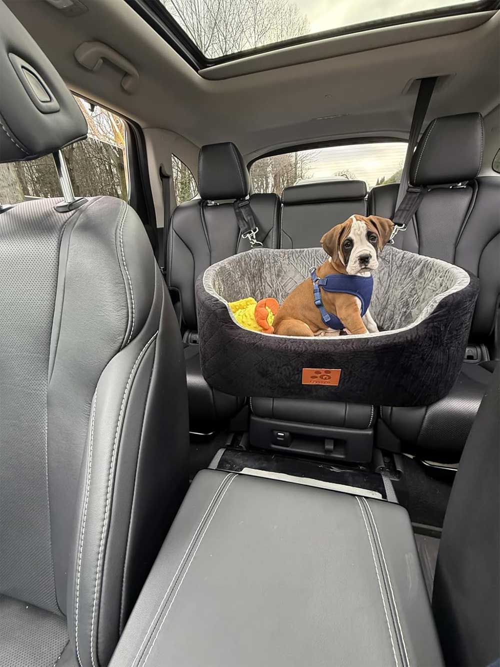 Premium Car booster seat for Large Dog or 2 Small Dogs up to 25kg with orthopedic pillow