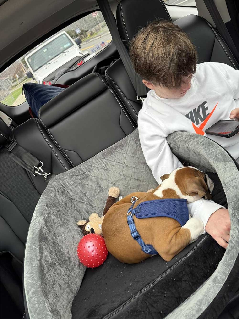 Premium Car booster seat for Large Dog or 2 Small Dogs up to 25kg with orthopedic pillow