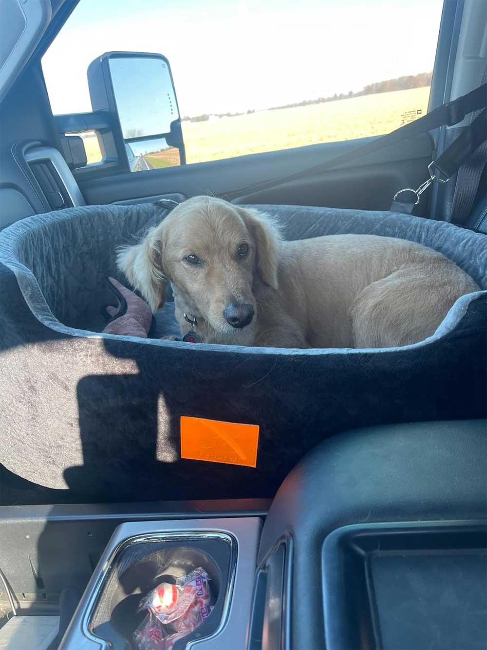 Premium Car booster seat for Large Dog or 2 Small Dogs up to 25kg with orthopedic pillow