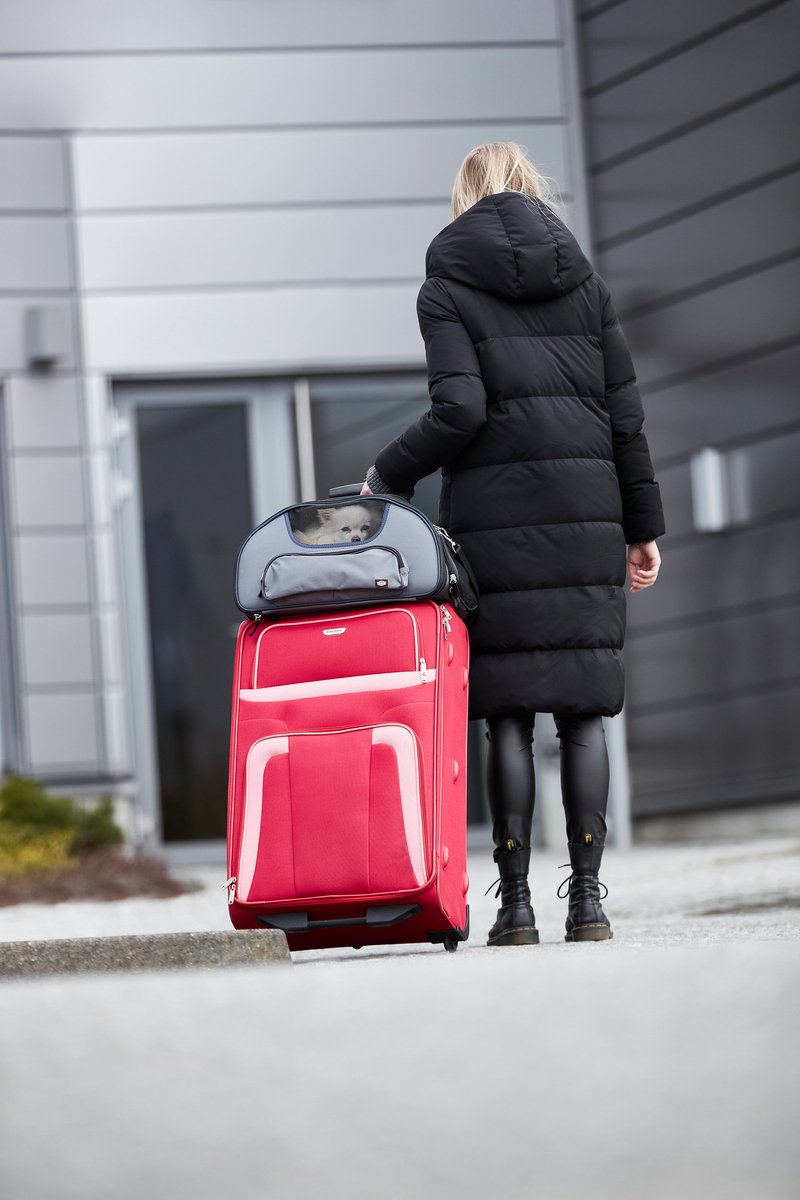 Air France hondendraagtas