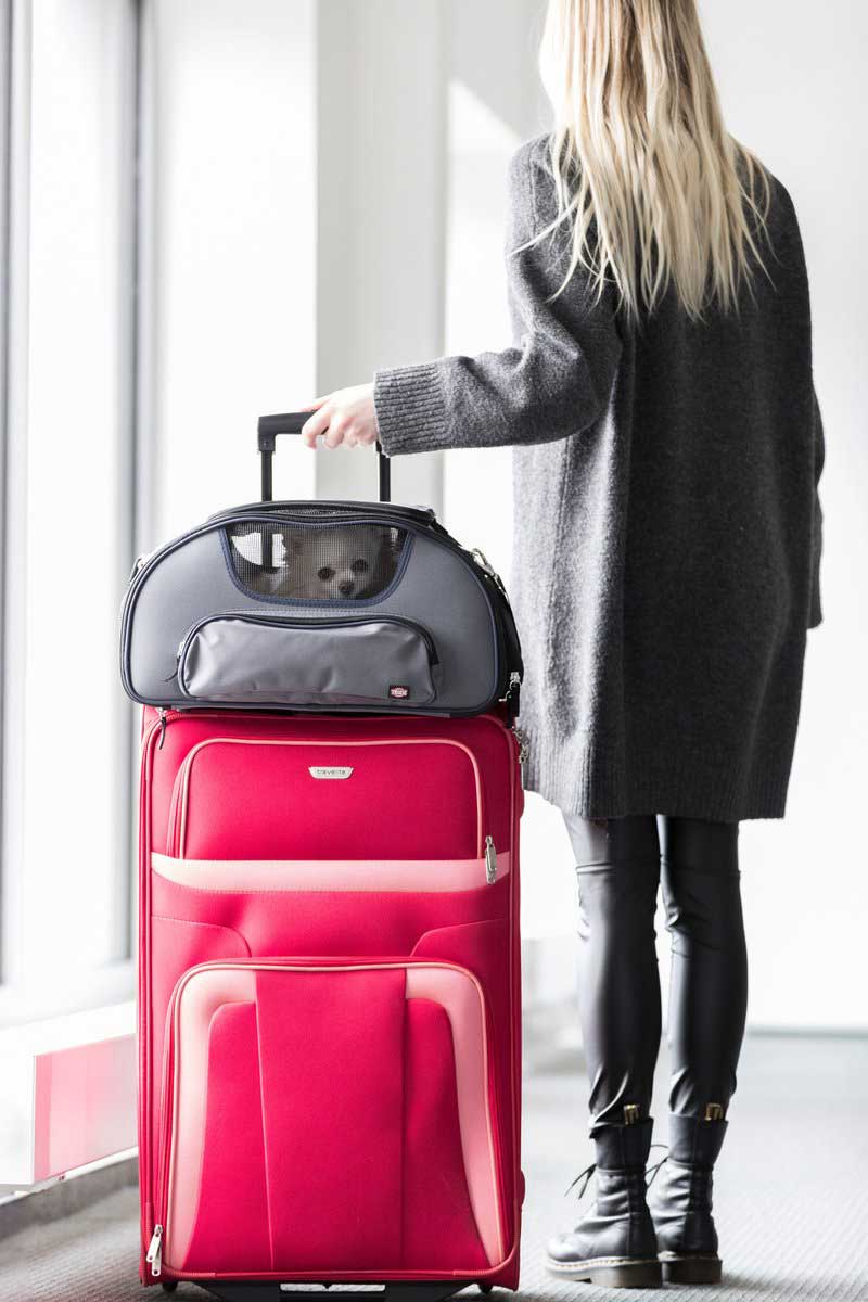 Air France reistas huisdier