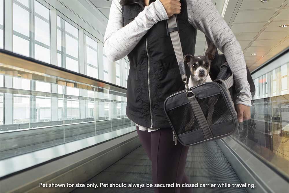 sas cabin pet carrier
